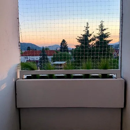 509 Apartment